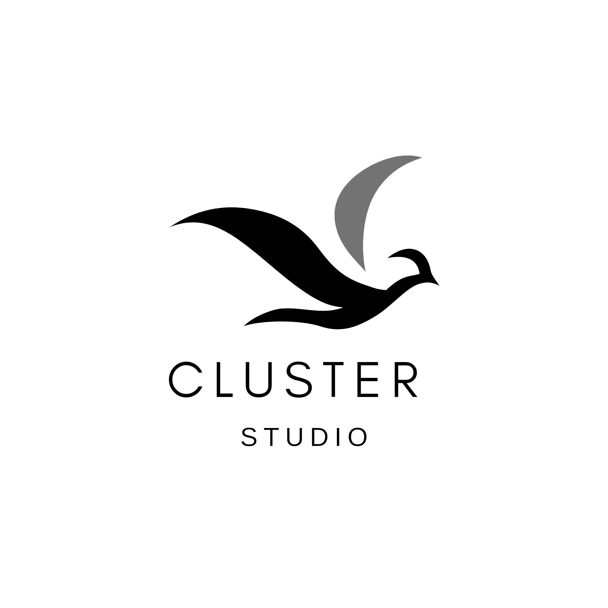 Cluster Studio logo